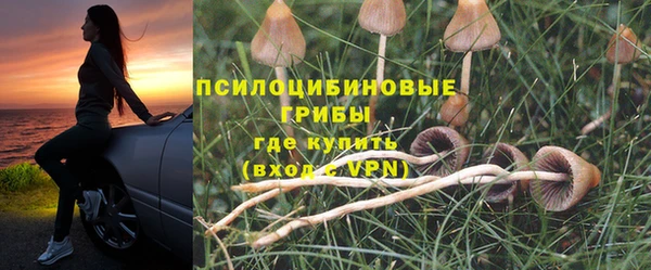 мяу мяу мука Абинск